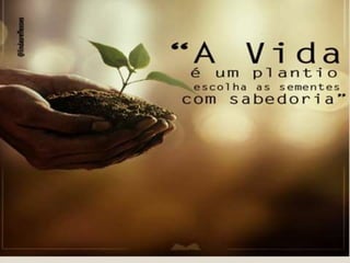 Slide apresentação