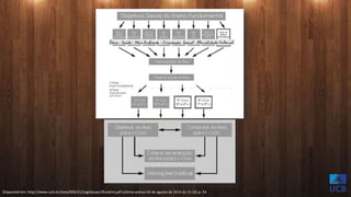 Disponível em: http://www.ucb.br/sites/000/21/Legislacao/3fundint.pdf (ultimo acesso 04 de agosto de 2015 às 15:32) p. 54
 