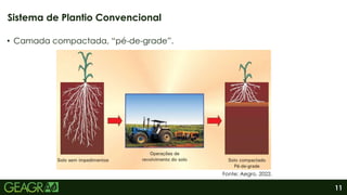 11
• Camada compactada, “pé-de-grade”.
Sistema de Plantio Convencional
Fonte: Aegro, 2022.
 