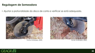 38
• Ajustar a profundidade do disco de corte e verificar se está adequada.
Regulagem de Semeadora
Fonte: Embrapa, 2022.
Fonte: Embrapa, 2022.
 