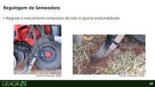 39
• Regular o mecanismo rompedor de solo e ajustar profundidade.
Regulagem de Semeadora
Fonte: Embrapa, 2022. Fonte: Embrapa, 2022.
 