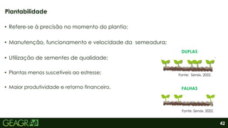 42
• Refere-se à precisão no momento do plantio;
• Manutenção, funcionamento e velocidade da semeadura;
• Utilização de sementes de qualidade;
• Plantas menos suscetíveis ao estresse;
• Maior produtividade e retorno financeiro.
Plantabilidade
DUPLAS
FALHAS
Fonte: Sensix, 2022.
Fonte: Sensix, 2022.
 