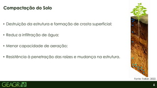 6
• Destruição da estrutura e formação de crosta superficial;
• Reduz a infiltração de água;
• Menor capacidade de aeração;
• Resistência à penetração das raízes e mudança na estrutura.
Compactação do Solo
Fonte: Falker, 2022.
 