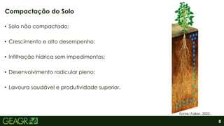 8
• Solo não compactado;
• Crescimento e alto desempenho;
• Infiltração hídrica sem impedimentos;
• Desenvolvimento radicular pleno;
• Lavoura saudável e produtividade superior.
Compactação do Solo
Fonte: Falker, 2022.
 