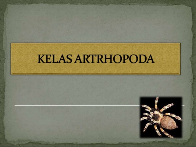 Slide Artrhopoda