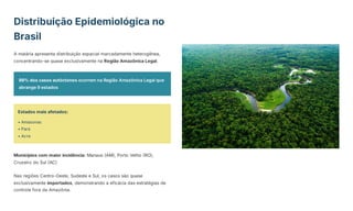 Distribuição Epidemiológica no
Brasil
A malária apresenta distribuição espacial marcadamente heterogênea,
concentrando-se quase exclusivamente na Região Amazônica Legal.
99% dos casos autóctones ocorrem na Região Amazônica Legal que
abrange 9 estados
Estados mais afetados:
• Amazonas
• Pará
• Acre
Municípios com maior incidência: Manaus (AM), Porto Velho (RO),
Cruzeiro do Sul (AC)
Nas regiões Centro-Oeste, Sudeste e Sul, os casos são quase
exclusivamente importados, demonstrando a eficácia das estratégias de
controle fora da Amazônia.
 