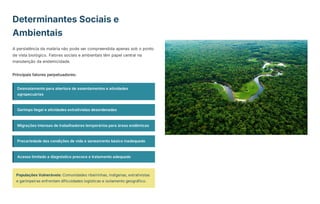 Determinantes Sociais e
Ambientais
A persistência da malária não pode ser compreendida apenas sob o ponto
de vista biológico. Fatores sociais e ambientais têm papel central na
manutenção da endemicidade.
Principais fatores perpetuadores:
Desmatamento para abertura de assentamentos e atividades
agropecuárias
Garimpo ilegal e atividades extrativistas desordenadas
Migrações intensas de trabalhadores temporários para áreas endêmicas
Precariedade das condições de vida e saneamento básico inadequado
Acesso limitado a diagnóstico precoce e tratamento adequado
Populações Vulneráveis: Comunidades ribeirinhas, indígenas, extrativistas
e garimpeiras enfrentam dificuldades logísticas e isolamento geográfico.
 