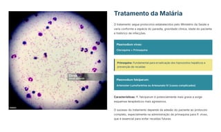 Tratamento da Malária
O tratamento segue protocolos estabelecidos pelo Ministério da Saúde e
varia conforme a espécie do parasita, gravidade clínica, idade do paciente
e histórico de infecções.
Plasmodium vivax:
Cloroquina + Primaquina
Primaquina: Fundamental para erradicação dos hipnozoítos hepáticos e
prevenção de recaídas
Plasmodium falciparum:
Artemeter-Lumefantrina ou Artesunato IV (casos complicados)
Características: P. falciparum é potencialmente mais grave e exige
esquemas terapêuticos mais agressivos.
O sucesso do tratamento depende da adesão do paciente ao protocolo
completo, especialmente na administração de primaquina para P. vivax,
que é essencial para evitar recaídas futuras.
 