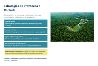 Estratégias de Prevenção e
Controle
O controle efetivo da malária exige uma abordagem integrada e
coordenada entre múltiplos setores da saúde pública.
Controle Vetorial:
Pulverização de inseticidas, modificação de habitats, redução de
criadouros
Proteção Individual:
Mosquiteiros impregnados de inseticida, repelentes, roupas adequadas
Vigilância Epidemiológica Ativa:
Monitoramento contínuo de casos, rastreamento de contatos
Fortalecimento da Atenção Primária:
Capacitação de profissionais, acesso a diagnóstico e tratamento
Políticas Públicas Integradas: Articulação entre saúde, meio ambiente e
desenvolvimento social para interrupção sustentável da transmissão
A vigilância integrada e as intervenções sustentáveis são fundamentais para
o sucesso a longo prazo.
 