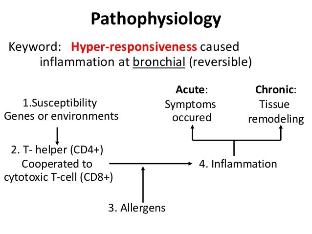 Asthma Pathophysiology Flow Chart