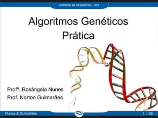 Algoritmos Genéticos
                   Prática



 Profª. Rosângela Nunes
 Prof. Norton Guimarães

Nunes & Guimarães                  1 / 38
 