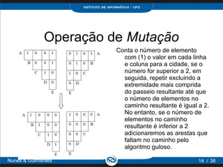 Operação de Mutação
                       Conta o número de elemento
                         com (1) o valor em cada linha
                         e coluna para a cidade, se o
                         número for superior a 2, em
                         seguida, repetir excluindo a
                         extremidade mais comprida
                         do passeio resultante até que
                         o número de elementos no
                         caminho resultante é igual a 2.
                         No entanto, se o número de
                         elementos no caminho
                         resultante é inferior a 2
                         adicionaremos as arestas que
                         faltam no caminho pelo
                         algoritmo guloso.

Nunes & Guimarães                                   14 / 38
 