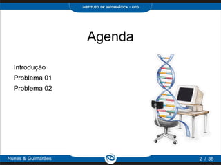Agenda

  Introdução
  Problema 01
  Problema 02




Nunes & Guimarães            2 / 38
 