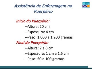 Assistência de Enfermagem no
Puerpério
Início do Puerpério:
–Altura: 20 cm
–Espessura: 4 cm
–Peso: 1.000 a 1.200 gramas
Final do Puerpério:
–Altura: 7 a 8 cm
–Espessura: 1 cm a 1,5 cm
–Peso: 50 a 100 gramas
 