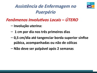 Assistência de Enfermagem no
Puerpério
Fenômenos Involutivos Locais – ÚTERO
– Involução uterina:
– 1 cm por dia nos três primeiros dias
– 0,5 cm/dia até tangenciar borda superior sínfise
púbica, acompanhadas ou não de cólicas
– Não deve ser palpável após 2 semanas
 