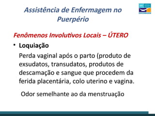 Assistência de Enfermagem no
Puerpério
Fenômenos Involutivos Locais – ÚTERO
• Loquiação
Perda vaginal após o parto (produto de
exsudatos, transudatos, produtos de
descamação e sangue que procedem da
ferida placentária, colo uterino e vagina.
Odor semelhante ao da menstruação
 