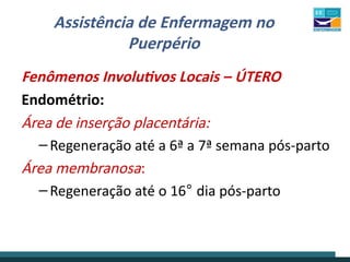 Assistência de Enfermagem no
Puerpério
Fenômenos Involutivos Locais – ÚTERO
Endométrio:
Área de inserção placentária:
–Regeneração até a 6ª a 7ª semana pós-parto
Área membranosa:
–Regeneração até o 16° dia pós-parto
 