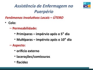 Assistência de Enfermagem no
Puerpério
Fenômenos Involutivos Locais – ÚTERO
• Colo:
– Permeabilidade:
• Primíparas – impérvio após o 5° dia
• Multíparas – impérvio após o 10° dia
– Aspecto:
• orifício externo
• lacerações/comissuras
• flacidez
 