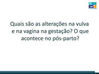 Quais são as alterações na vulva
e na vagina na gestação? O que
acontece no pós-parto?
 