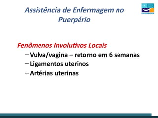Assistência de Enfermagem no
Puerpério
Fenômenos Involutivos Locais
–Vulva/vagina – retorno em 6 semanas
–Ligamentos uterinos
–Artérias uterinas
 