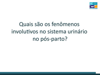 Quais são os fenômenos
involutivos no sistema urinário
no pós-parto?
 