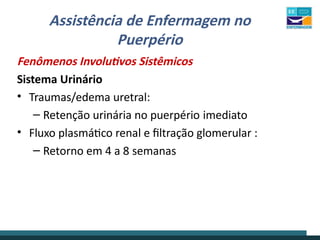 Assistência de Enfermagem no
Puerpério
Fenômenos Involutivos Sistêmicos
Sistema Urinário
• Traumas/edema uretral:
– Retenção urinária no puerpério imediato
• Fluxo plasmático renal e filtração glomerular :
– Retorno em 4 a 8 semanas
 