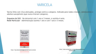 VARICELA
Vacina feita com vírus atenuados, protege contra a catapora. Indicado para todas crianças, adolescentes e
adultos susceptíveis (que nunca tiveram catapora).
Esquema do SUS – Na tetraviral com 1 ano e 3 meses, e sozinha 4 anos.
Rede Particular – Administração sozinha 1 ano e com 1 ano e 3 meses.
21
https://loja.labcarloschagas.com.br/vacina-varicela
https://www.vacinaclean.com.br/tetraviral-mmrvar-
proquad-msd
 