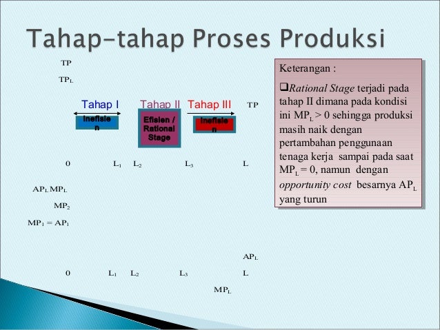 Terbaru 28+ Tahap Produksi