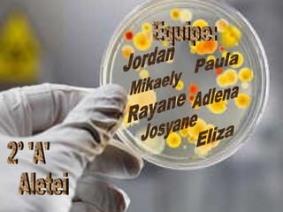 Equipe: Jordan Paula Adlena Rayane Eliza Josyane Mikaely 2° 'A' Aleteia 
