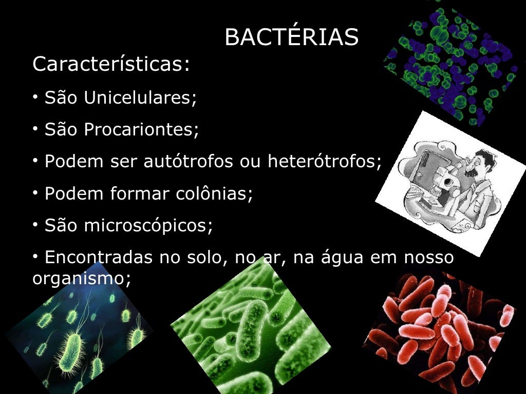 Slide bacterias