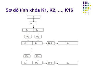 Sơ đồ tính khóa K1, K2, …, K16
 