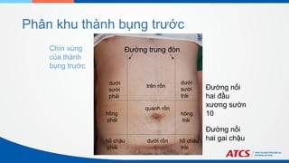 Phân khu thành bụng trước
trên rốn
Chín vùng
của thành
bụng trước
Đường trung đòn
Đường nối
hai gai chậu
hố chậu
phải
quanh rốn
dưới rốn
dưới
sười
trái
dưới
sười
phải
hố chậu
trái
Đường nối
hai đầu
xương sườn
10
hông
phải
hông
trái
 