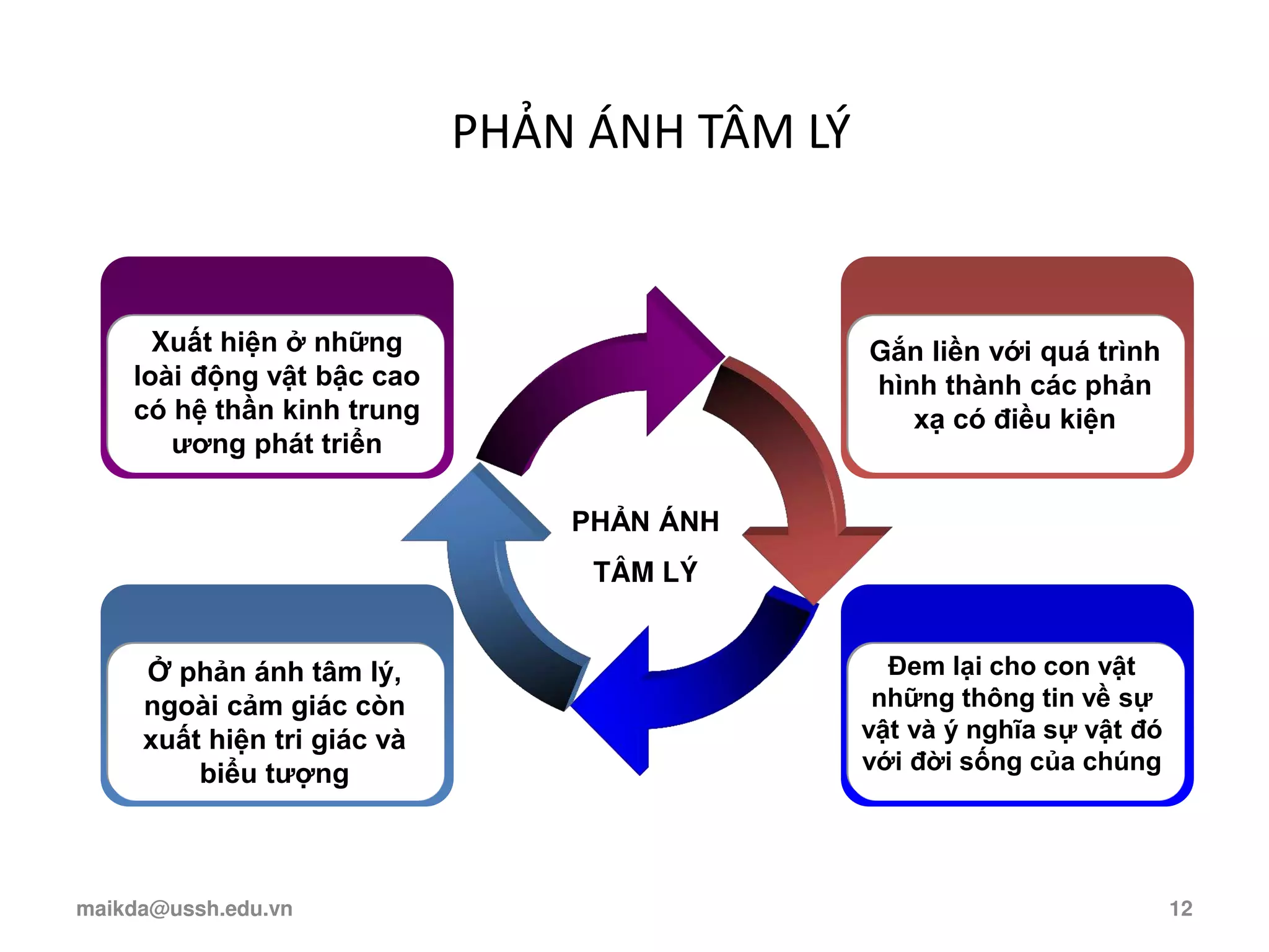 PHẢN ÁNH TÂM LÝ
PHẢN ÁNH
TÂM LÝ
Ở phản ánh tâm lý,
ngoài cảm giác còn
xuất hiện tri giác và
biểu tượng
Xuất hiện ở những
loài động vật bậc cao
có hệ thần kinh trung
ương phát triển
Đem lại cho con vật
những thông tin về sự
vật và ý nghĩa sự vật đó
với đời sống của chúng
Gắn liền với quá trình
hình thành các phản
xạ có điều kiện
maikda@ussh.edu.vn 12
 