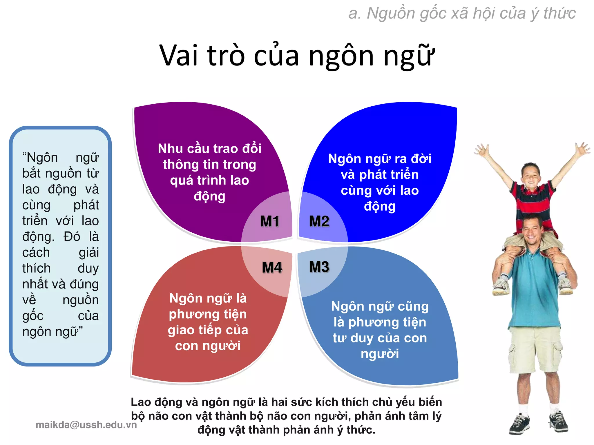 Vai trò của ngôn ngữ
Lao động và ngôn ngữ là hai sức kích thích chủ yếu biến
bộ não con vật thành bộ não con người, phản ánh tâm lý
động vật thành phản ánh ý thức.
Ngôn ngữ ra đời
và phát triển
cùng với lao
động
Ngôn ngữ là
phương tiện
giao tiếp của
con người
Ngôn ngữ cũng
là phương tiện
tư duy của con
người
M1 M2
M4 M3
Nhu cầu trao đổi
thông tin trong
quá trình lao
động
a. Nguồn gốc xã hội của ý thức
“Ngôn ngữ
bắt nguồn từ
lao động và
cùng phát
triển với lao
động. Đó là
cách giải
thích duy
nhất và đúng
về nguồn
gốc của
ngôn ngữ”
maikda@ussh.edu.vn 17
 