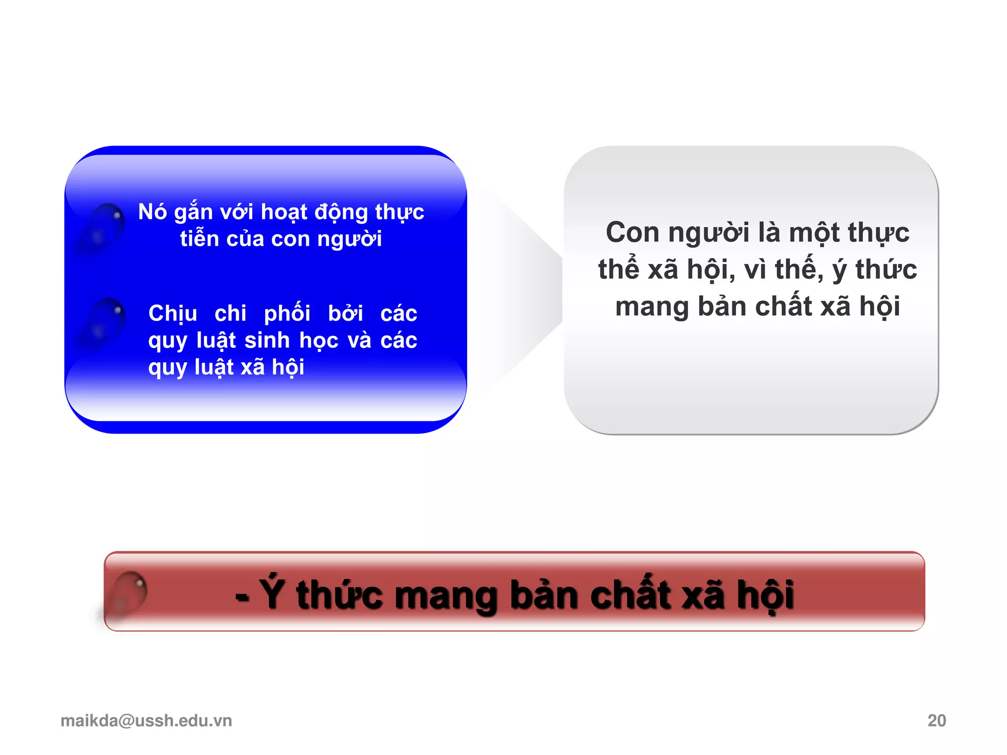 Nó gắn với hoạt động thực
tiễn của con người
Chịu chi phối bởi các
quy luật sinh học và các
quy luật xã hội
Con người là một thực
thể xã hội, vì thế, ý thức
mang bản chất xã hội
- Ý thức mang bản chất xã hội
maikda@ussh.edu.vn 20
 