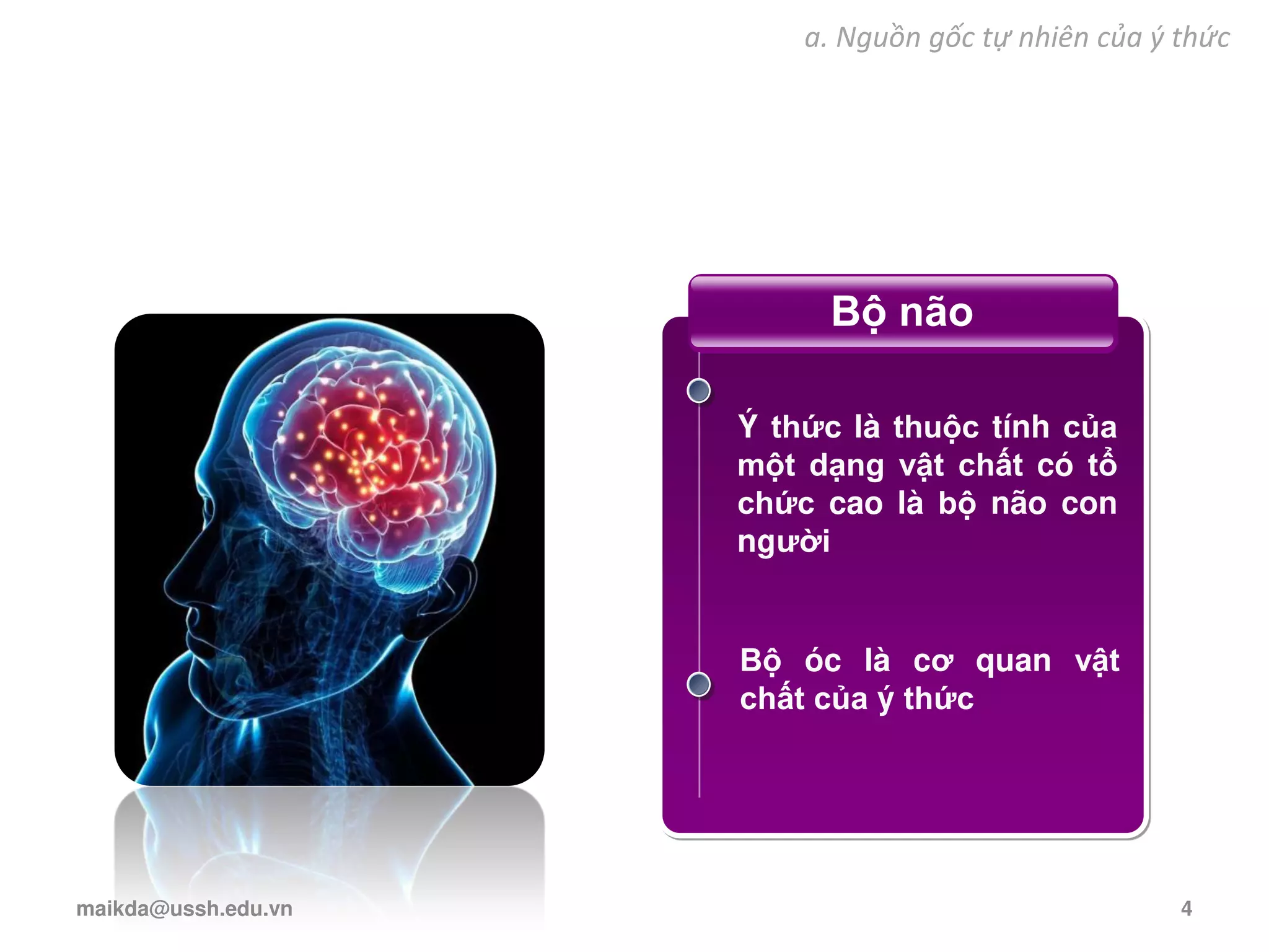 Bộ não
Ý thức là thuộc tính của
một dạng vật chất có tổ
chức cao là bộ não con
người
Bộ óc là cơ quan vật
chất của ý thức
a. Nguồn gốc tự nhiên của ý thức
maikda@ussh.edu.vn 4
 
