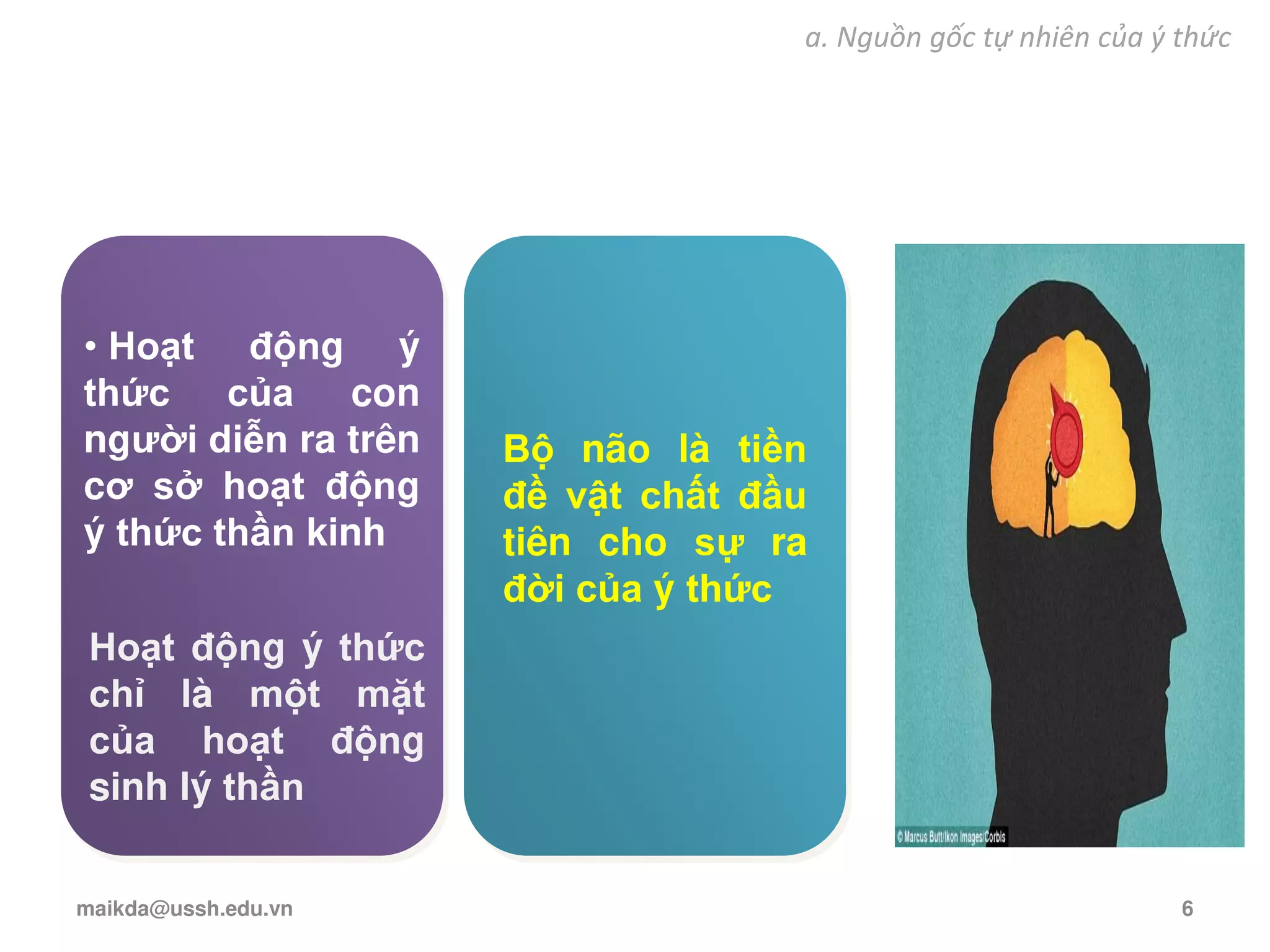 • Hoạt động ý
thức của con
người diễn ra trên
cơ sở hoạt động
ý thức thần kinh
Hoạt động ý thức
chỉ là một mặt
của hoạt động
sinh lý thần
Bộ não là tiền
đề vật chất đầu
tiên cho sự ra
đời của ý thức
a. Nguồn gốc tự nhiên của ý thức
maikda@ussh.edu.vn 6
 