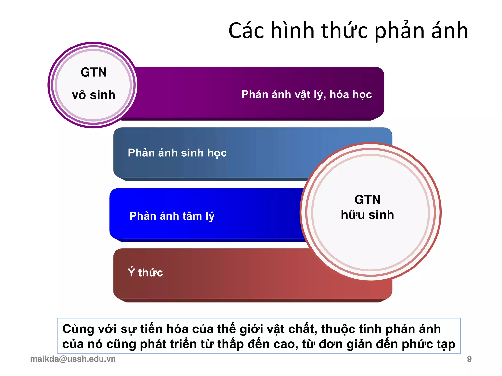 Các hình thức phản ánh
Phản ánh vật lý, hóa học
Phản ánh sinh học
Phản ánh tâm lý
Ý thức
GTN
vô sinh
Cùng với sự tiến hóa của thế giới vật chất, thuộc tính phản ánh
của nó cũng phát triển từ thấp đến cao, từ đơn giản đến phức tạp
GTN
hữu sinh
maikda@ussh.edu.vn 9
 