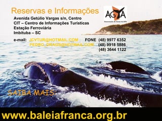 Avenida Getúlio Vargas s/n, Centro CIT – Centro de Informações Turísticas  Estação Ferroviária  Imbituba – SC e-mail:   [email_address]   FONE  (48) 9977 6352 [email_address]   (48) 9918 5886 (48) 3644 1122 Reservas e Informações SAIBA MAIS: www.baleiafranca.org.br   