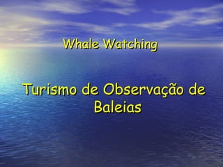 Turismo de Observação de Baleias Whale   Watching 