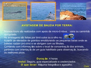 AVISTAGEM DE BALEIA POR TERRA: Nossos tours são realizados com apoio de micro-ônibus,  vans ou caminhão apropriado. As avistagens são feitas por binóculos ou a olho nu. A partir de elevados de granitos emoldurando as pequenas baías onde as baleias nadam próximo e se abrigam com os filhotes. Contando com informações sobre o local de concentração dos animais, partimos com orientação de um guia habilitado para observação, buscando os melhores picos.  Duração:  4 horas Inclui:  Seguro, guia especializado e credenciados. O que levar:  Máquina fotográfica e agasalho.  Click.   