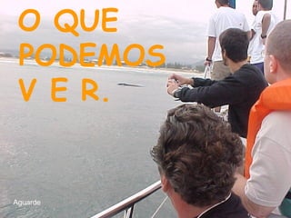 O QUE  PODEMOS V E R. Aguarde 