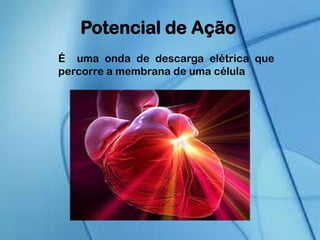 Potencial de Ação
É uma onda de descarga elétrica que
percorre a membrana de uma célula
 