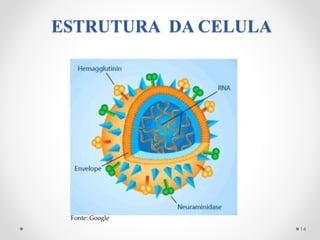 ESTRUTURA DA CELULA
14
Fonte: Google
 