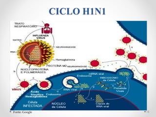 CICLO H1N1
15Fonte: Google
 