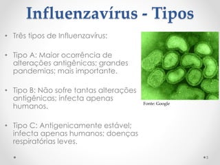 Influenzavírus - Tipos
• Três tipos de Influenzavírus:
• Tipo A: Maior ocorrência de
alterações antigênicas; grandes
pandemias; mais importante.
• Tipo B: Não sofre tantas alterações
antigênicas; infecta apenas
humanos.
• Tipo C: Antigenicamente estável;
infecta apenas humanos; doenças
respiratórias leves.
5
Fonte: Google
 
