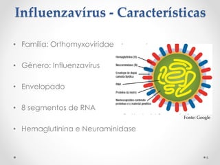 Influenzavírus - Características
• Família: Orthomyxoviridae
• Gênero: Influenzavírus
• Envelopado
• 8 segmentos de RNA
• Hemaglutinina e Neuraminidase
6
Fonte: Google
 
