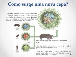 Como surge uma nova cepa?
Uma nova cepa foi formada / Influenza A -
H1N1 :
• Surgiu então uma nova cepa que reúne
genes de vários tipos de vírus.
• Em um “caso zero” houve transmissão do
porco para o homem. A partir daí, começou a
transmissão entre os humanos.
Diferentes cepas de vírus que infectam
humanos, aves, porcos podem realizar
contágios simultâneos em suínos. Quando
isso acontece, o material genético se
mistura com as células dos porcos.
7
 