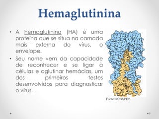 Hemaglutinina
• A hemaglutinina (HA) é uma
proteína que se situa na camada
mais externa do vírus, o
envelope.
• Seu nome vem da capacidade
de reconhecer e se ligar à
células e aglutinar hemácias, um
dos primeiros testes
desenvolvidos para diagnosticar
o vírus.
9
Fonte: RCSB/PDB
 