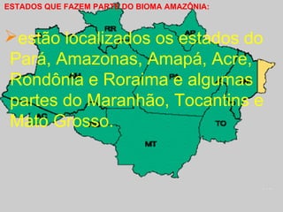 Bioma Amazônia | PPT